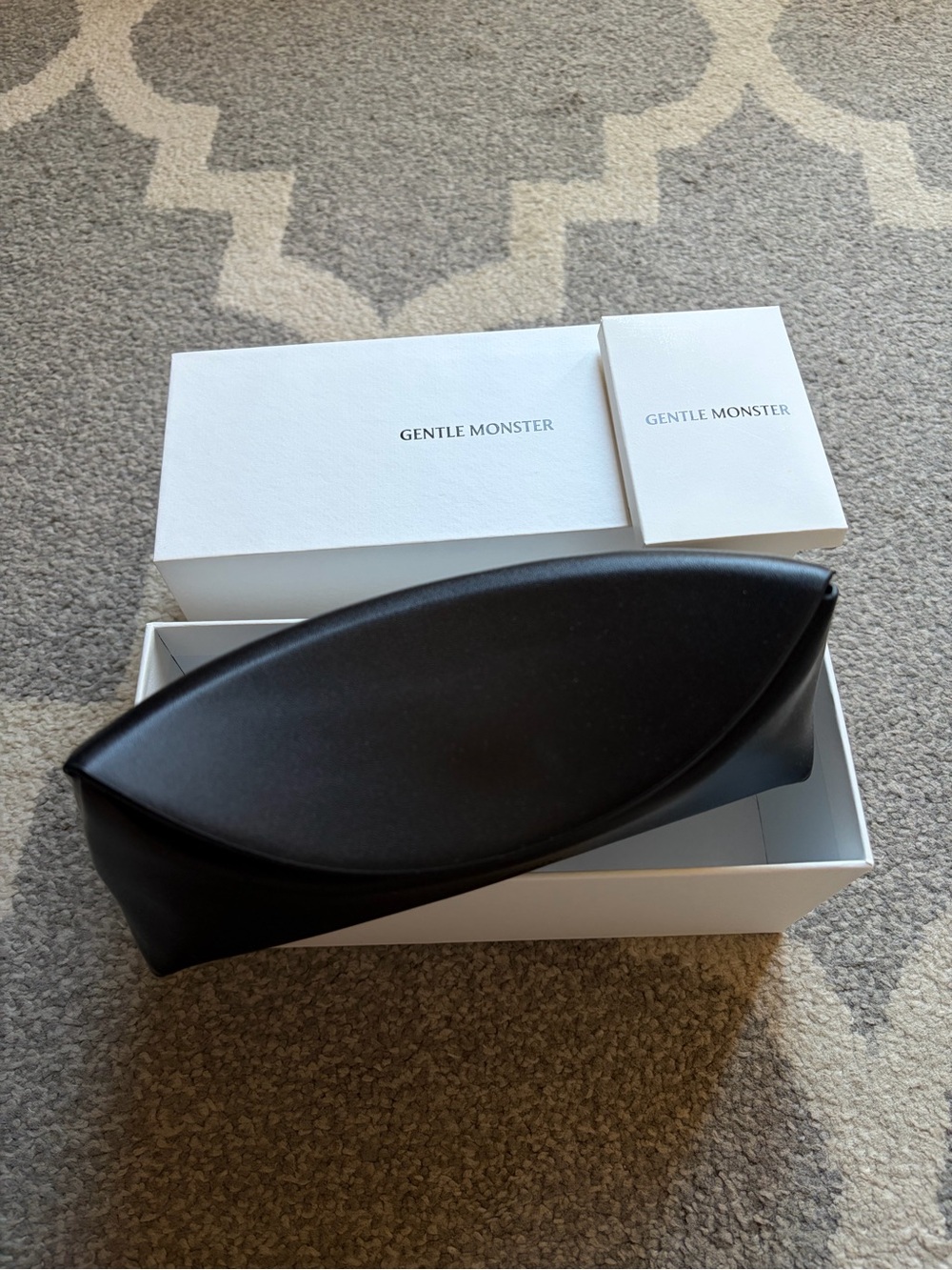Gentle Monster Sunglasses Case & Cloth